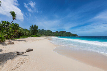 Tropical white sand beach palm trees and beautiful sea