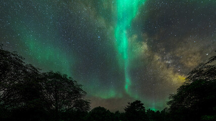 milky way with tree silhouette over the dark sky