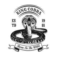 King Cobra Symbol Design. Monochrome Element With Aggressive Snake Vector Illustration With Text. Aggression Or Horror Concept For Emblems And Labels Templates