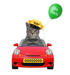 Wall Mural - A gray cat taxi driver in a yellow cap is in a red car. No limits. White background. Isolated.