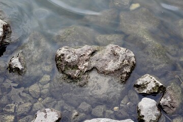 A close view of the rock in the water surface.