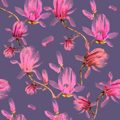 Sticker - magnolia branch, pattern,beautiful pink  flowers, flowers isolated on a white background, vintage