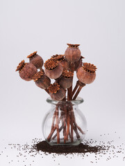 Wall Mural - Dried poppy heads and seeds close-up, macro