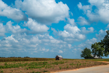 Farm buildings along a rural road