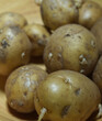 A bulk of selfgrown potatoes on a bambus plate