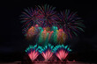 Colorful fireworks for the holiday