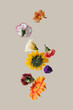 Creative arrangement with various spring flowers against pastel beige background. Minimal nature concept.