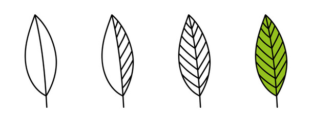 Wall Mural - leaf line icons set. vector illustration isolated on white background