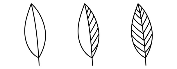 Wall Mural - leaf line icons set. vector illustration isolated on white background