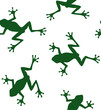 Vector seamless pattern of green hand drawn doodle sketch frog isolated on white background