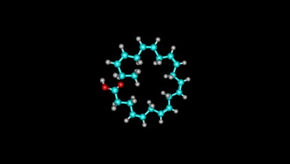 Sticker - Docosahexaenoic acid molecule rotating video 