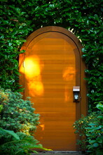 Rounded Wooden Door Set In Green Hedge With Vines And Shrubs And Afternoon Sunlight.