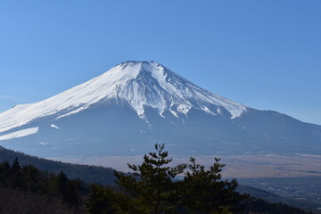 Canvas Print - 二十曲峠からの富士山