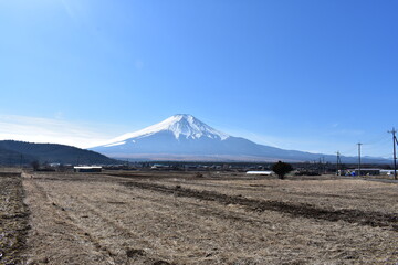 Canvas Print - 富士山