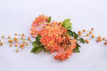 Orange Flowers Spike Flora Of Asia Arrangement Flat Lay Postcard Style On Background White