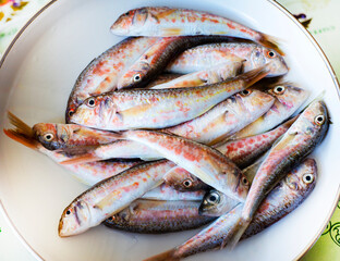 
Fresh caught fish on a white dish. Red mullet fish.