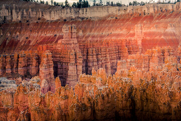 Wall Mural - Bryce Canyon 