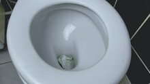 Throwing Paper And Flushing Water Into A White Toilet With A Lowered Toilet Seat, Bathroom, Hygiene.