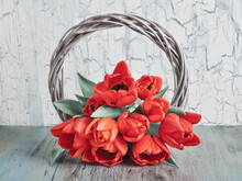 Rattan Wreath Decorated With Orange, Red Natural Tulip Flowers. Easter, Springtime Home Decor. Natural Flower Arrangement On Off White, Ivory Wooden Background. Natural Decor, Zero Waste, No Plastic.