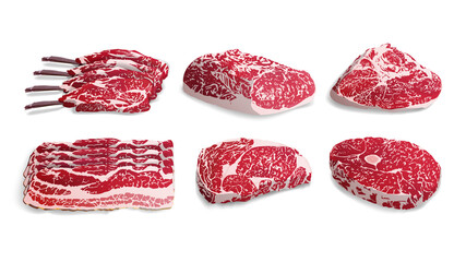 Set of fresh meat in a realistic style. Food 3d vector isolated objects. Gastronomic products