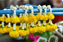 Close-up Of Yellow Flowers Hanging At Market Stall