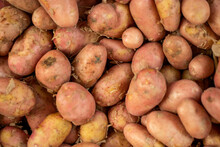 Group Of Brown And Red Fresh Potatoes Top View