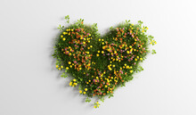 Green Grass With Spring Summer Flowers In Heart Shape