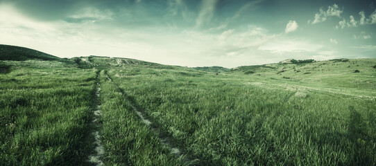 Wall Mural - green landscape with spring meadow