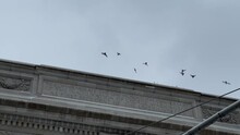 Pigeons Flocking - Flock Of Birds Flying Around Washington Square Park Arch Overhead In Sky In New York City NYC