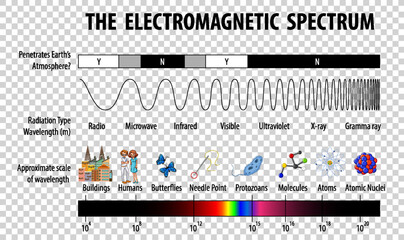 Wall Mural - science electromagnetic spectrum diagram on transparent background