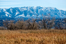Landscape With Snow Mountains, Badlands And Yellow Grass At The San Jacinto Wildlife Area In Riverside, California