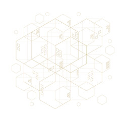 Wall Mural - abstract geometric hexagon. lines minimalistic design.