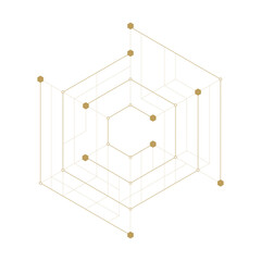 Wall Mural - abstract geometric hexagon. lines minimalistic design.