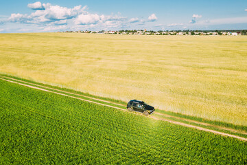 Wall Mural - Aerial View Of Car SUV Parked Near Countryside Road In Spring Field Rural Landscape. Car Between Young Wheat And Corn Maize Plantation