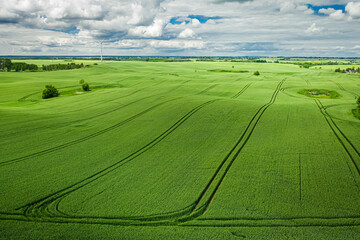 Wall Mural - green field in spring, aerial view of poland