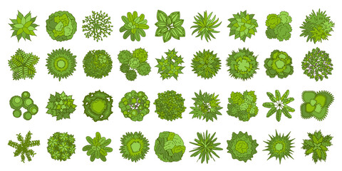 Trees top view. Different plants and trees vector set for architectural or landscape design. (View from above) Nature green spaces.