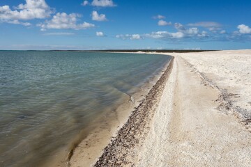 Shell Beach with blue sky in Western Australia near the Denham with nice white colour