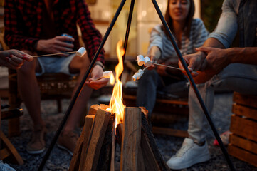 Wall Mural - friends sitting by the bonfire in the evening