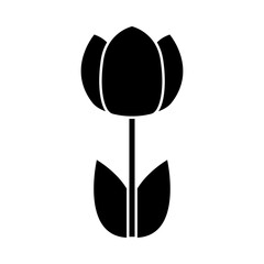 Poster - Spring Flower Icon