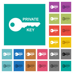 Poster - Private key square flat multi colored icons