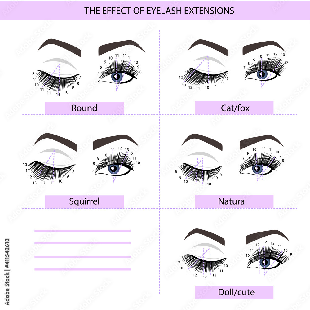 Eyelash Extension Guide. Direction schemes. Tips and tricks for eyelash extension. Infographic vector illustration. - obrazy, fototapety, plakaty 