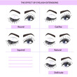 © la vector - Eyelash Extension Guide. Direction schemes. Tips and tricks for eyelash extension. Infographic vector illustration.
