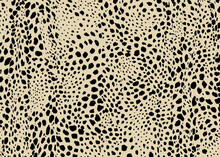 Cheetah Spots Pattern Design. Vector Illustration Background. Wildlife Fur Skin Design Illustration.