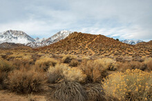 Desert Sand And Plants In The Buttermilks Rock Formations Sierra Nevada Mountain Region California