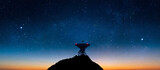 Fototapeta  - Landscape with signal receiving radio telescope in starry night sky - 3d Illustration