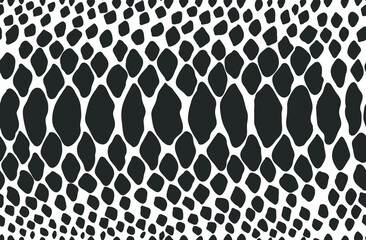 Snake skin seamless pattern. Vector illustration.