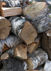 Wall Mural - A pile of big birch logs