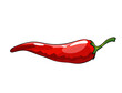 Hand drawn chili pepper. Super hot red chilli pepper. Red chilli pepper on white background. Natural healthy food. Spicy ingredient