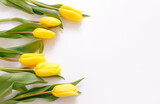 Fototapeta Tulipany - yellow tulips on a white background, space for text top view.