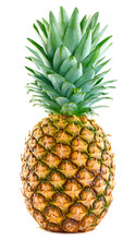 Single Pineapple Isolated On White Background. Pineapple Fruit Whole. Pineapple Clipping Path. Full Depth Of Field.